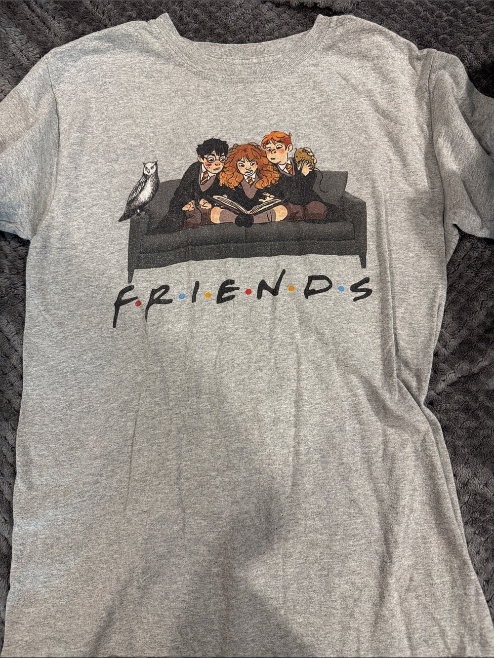 Friends Graphic Grey Small Pets Tee